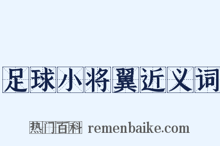 足球小将翼近义词是什么意思的图片